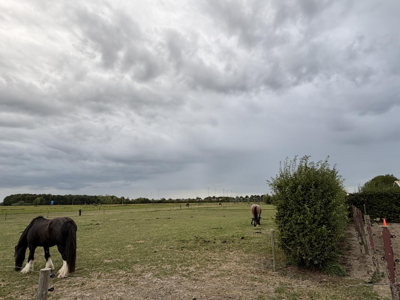 1 box vrij op pensionstalling