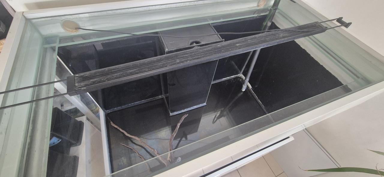 Aquaja diamond aquarium zoetwater zoutwater