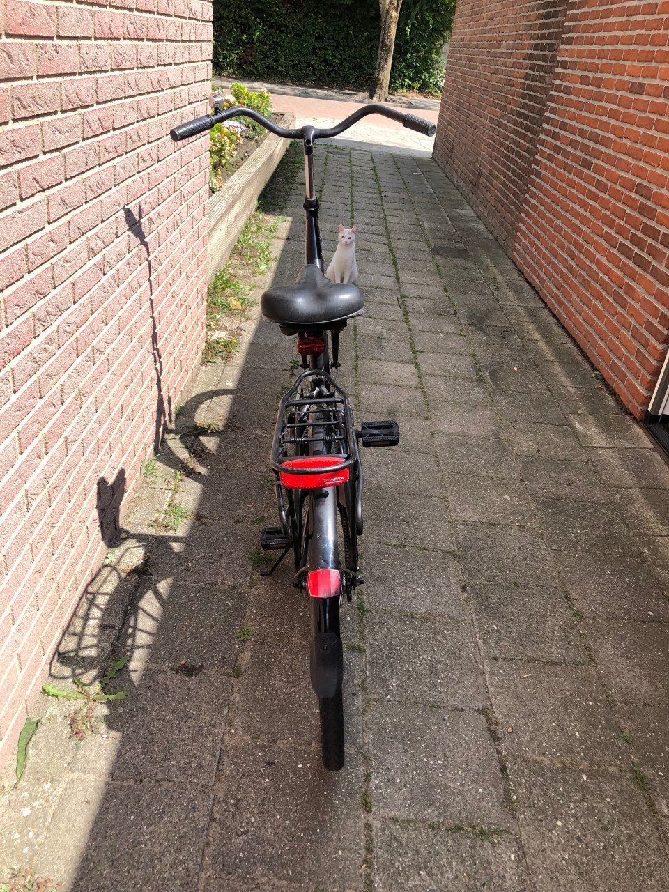 Damesfiets/ stationsfiets.