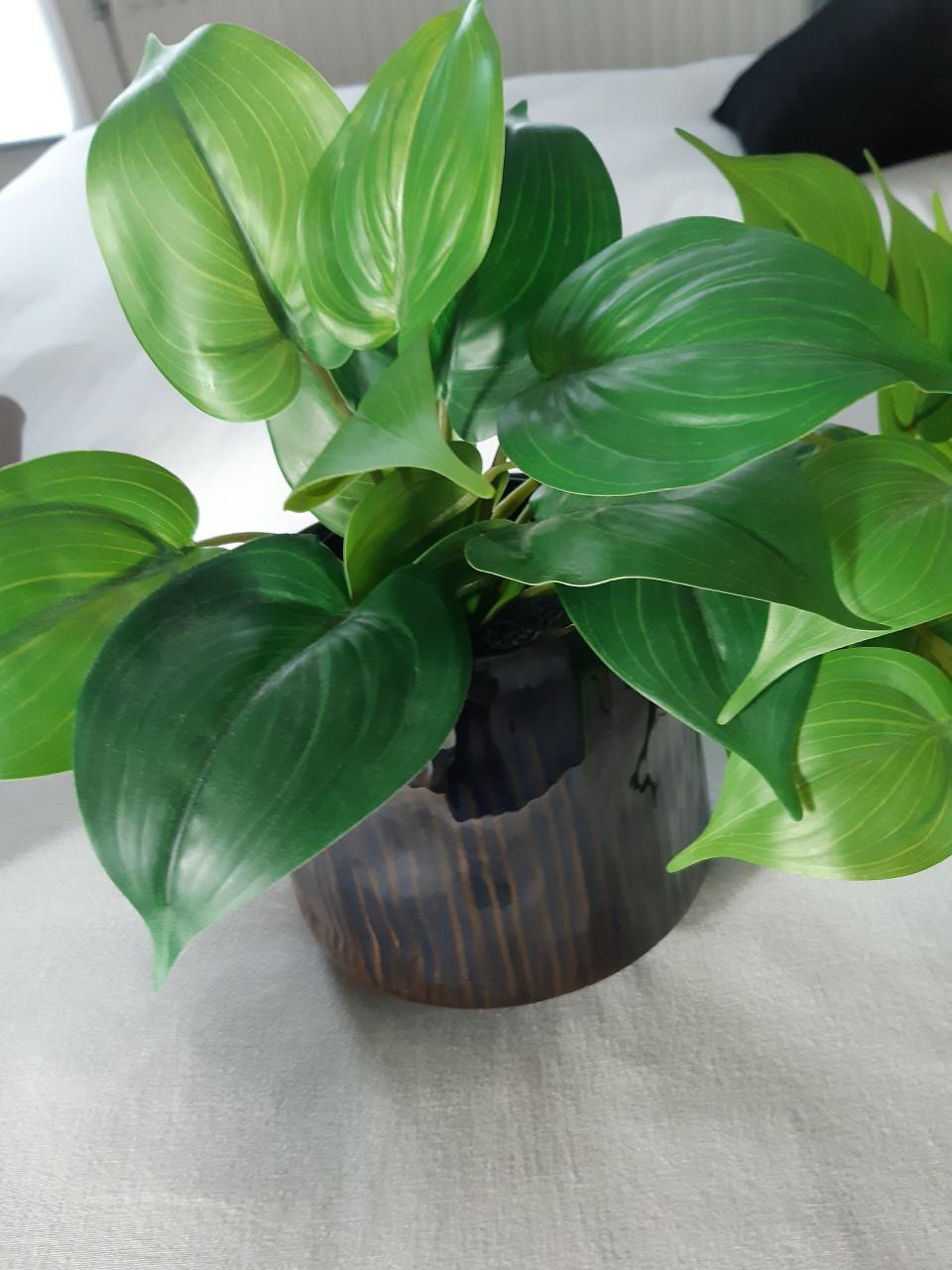 Kunst plantje met.mooi boempotje