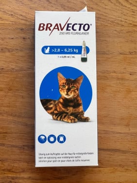Bravecto spot on cat