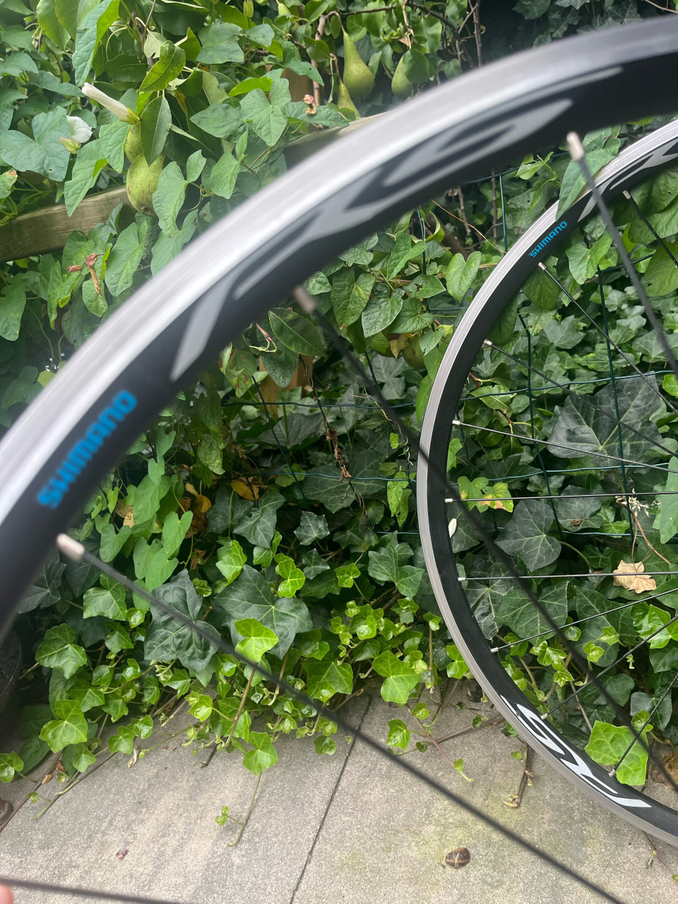 Racewielen