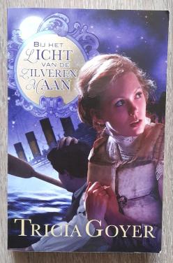 Tricia Goyer Bij het licht van de zilveren maan