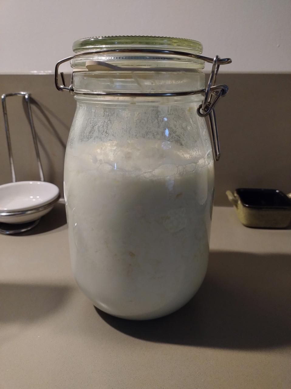 Kefir korrels om zelf lekkere yoghurt en/of karnemelk te maken!