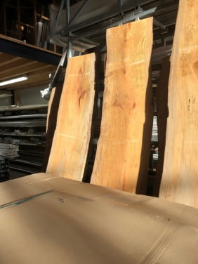 Zeeuwse iepen plataan en linde schaaldelen, va 10 euro koffie gratis