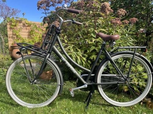 Fiets Transport Cortina U4 Maat 57 ZGANieuw