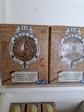 Buffalowormen diepvries 425gr (Top Insect)