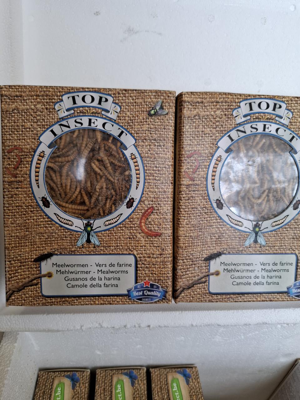 Buffalowormen diepvries 425gr (Top Insect)