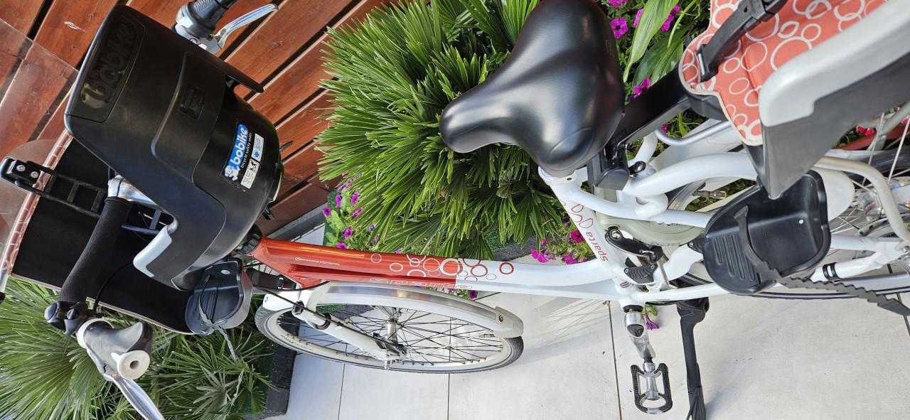 Sparta Amazone Dynamic Moederfiets