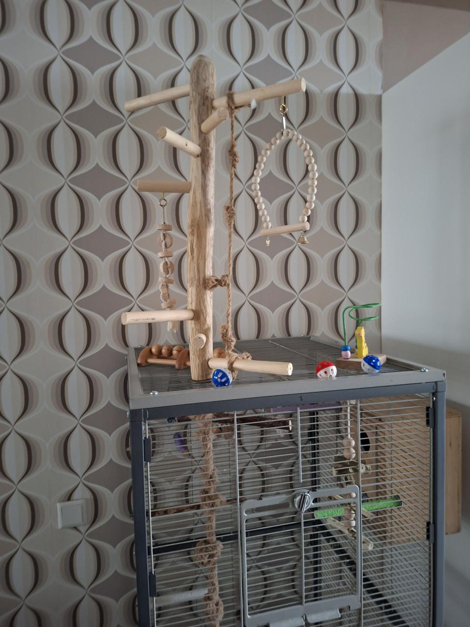 Muisparkieten  met kooi