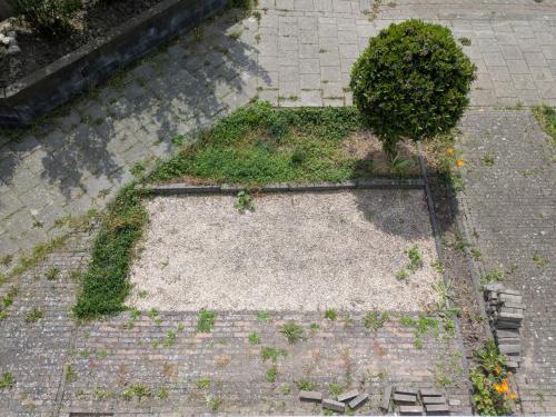 Split (gratis afhalen)