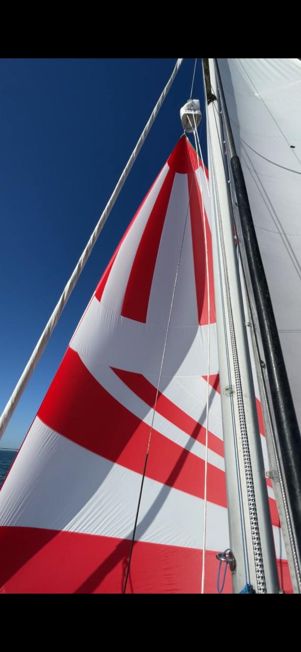 Diverse spinnakers, gennaker en genua