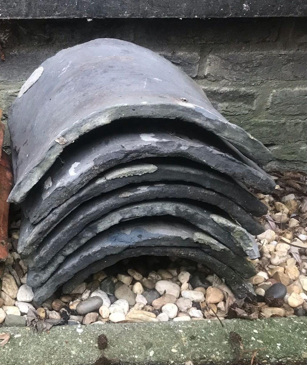 Nokvorsten (diverse types)