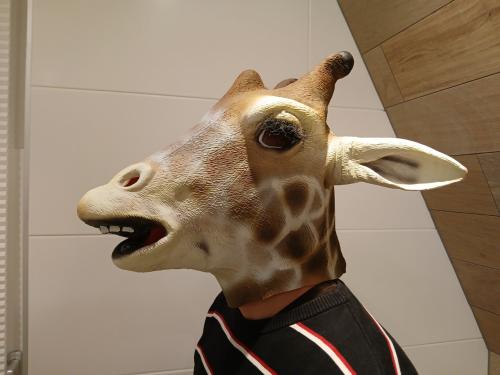 Carnavalskleding veschillende maskers en een pak