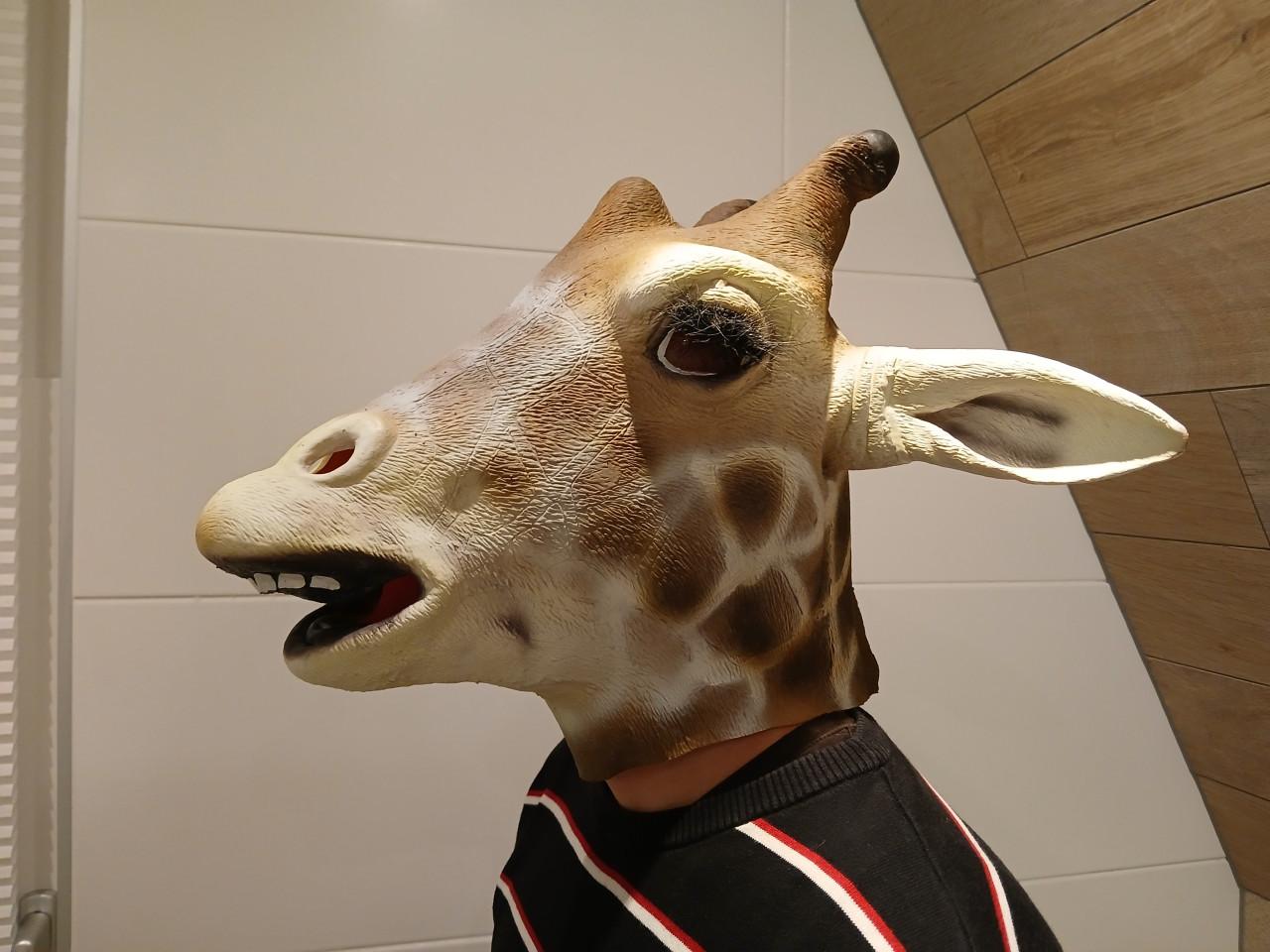 Carnavalskleding veschillende maskers en een pak