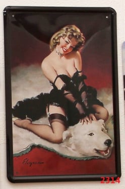 Metalen Bord Pin-Up