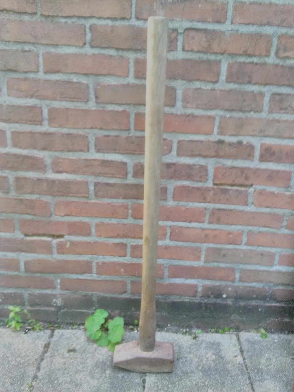 Voorhamer