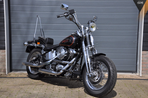Harley Davidson FXSTS Springer Zeer nette, NL motor
