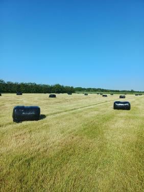 Balen weidegras eerste snee