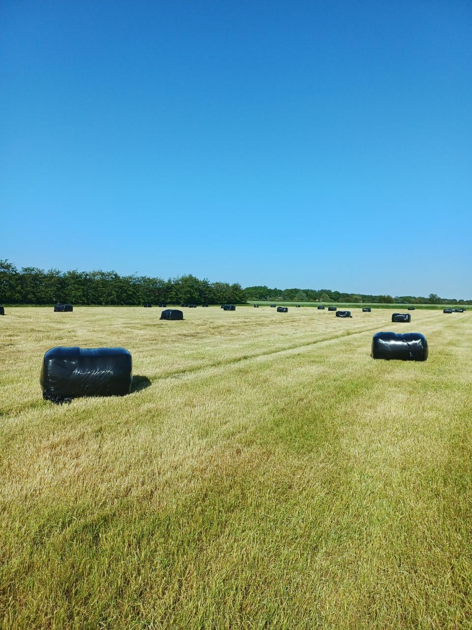 Balen weidegras eerste snee