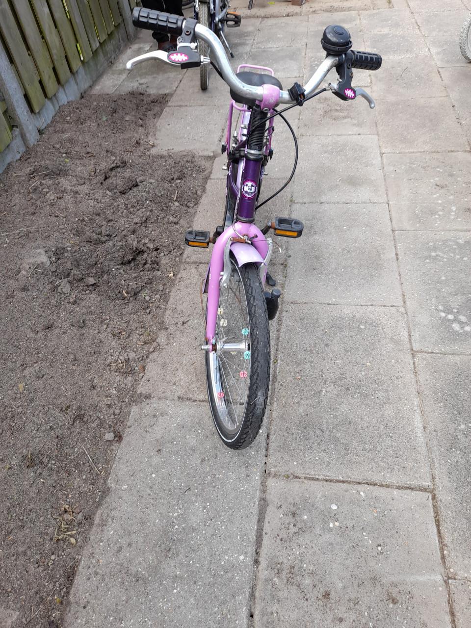 3 kinderen fieten