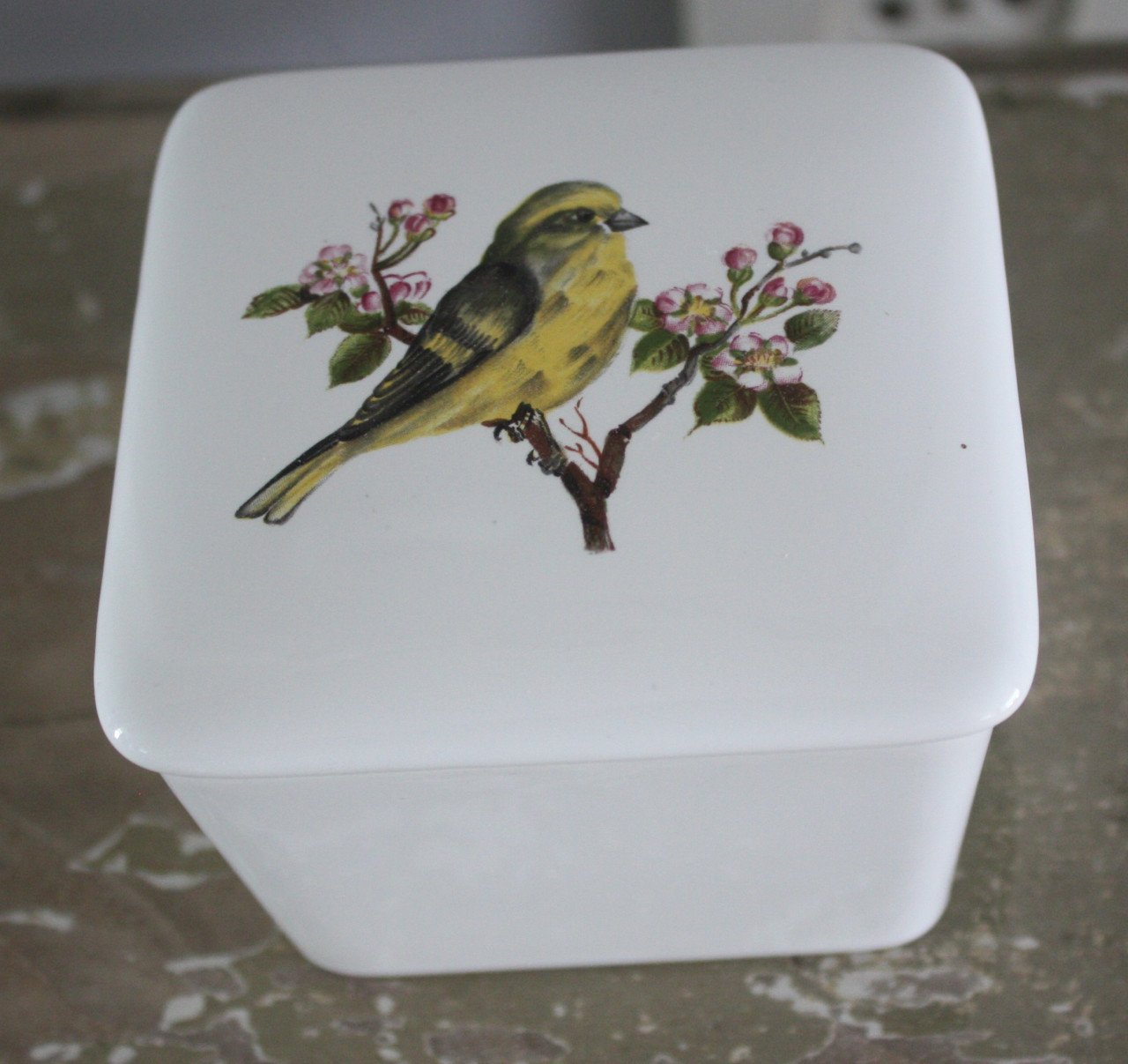 Potje met vogelprint en los deksel