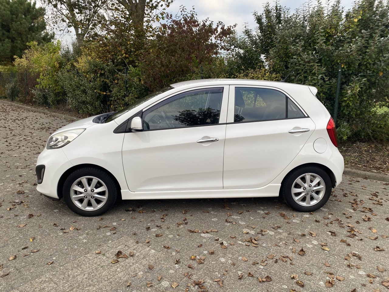 Te koop Kia Picanto