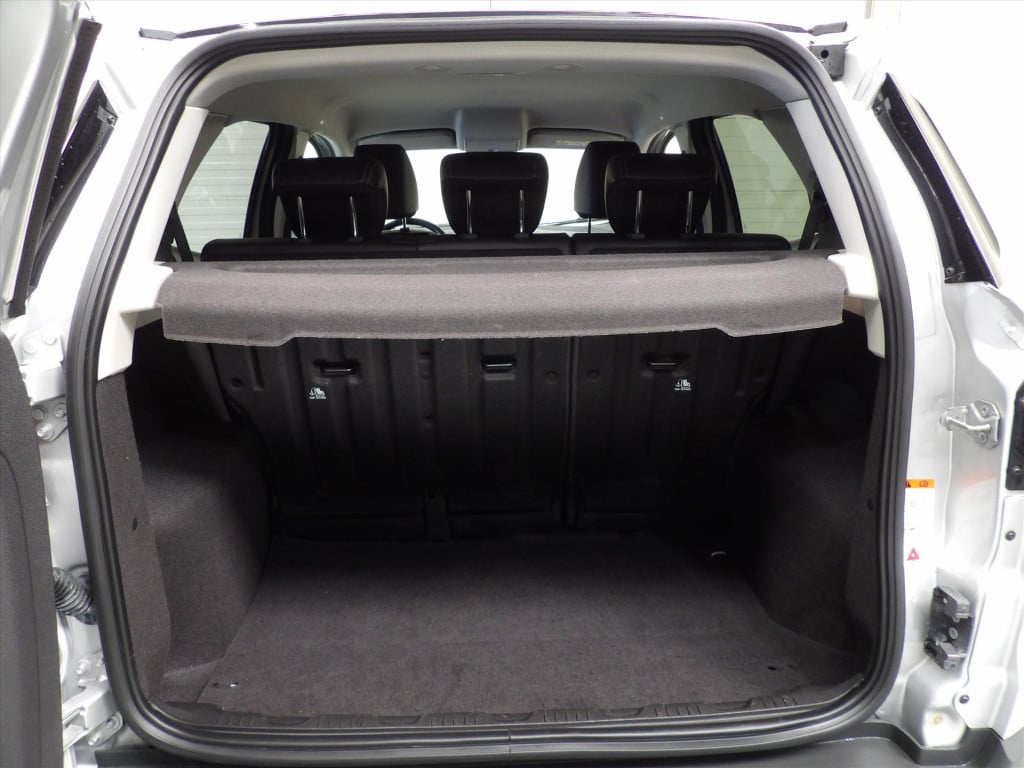 Ford Ecosport 1.0 ecoboost 125pk titanium s