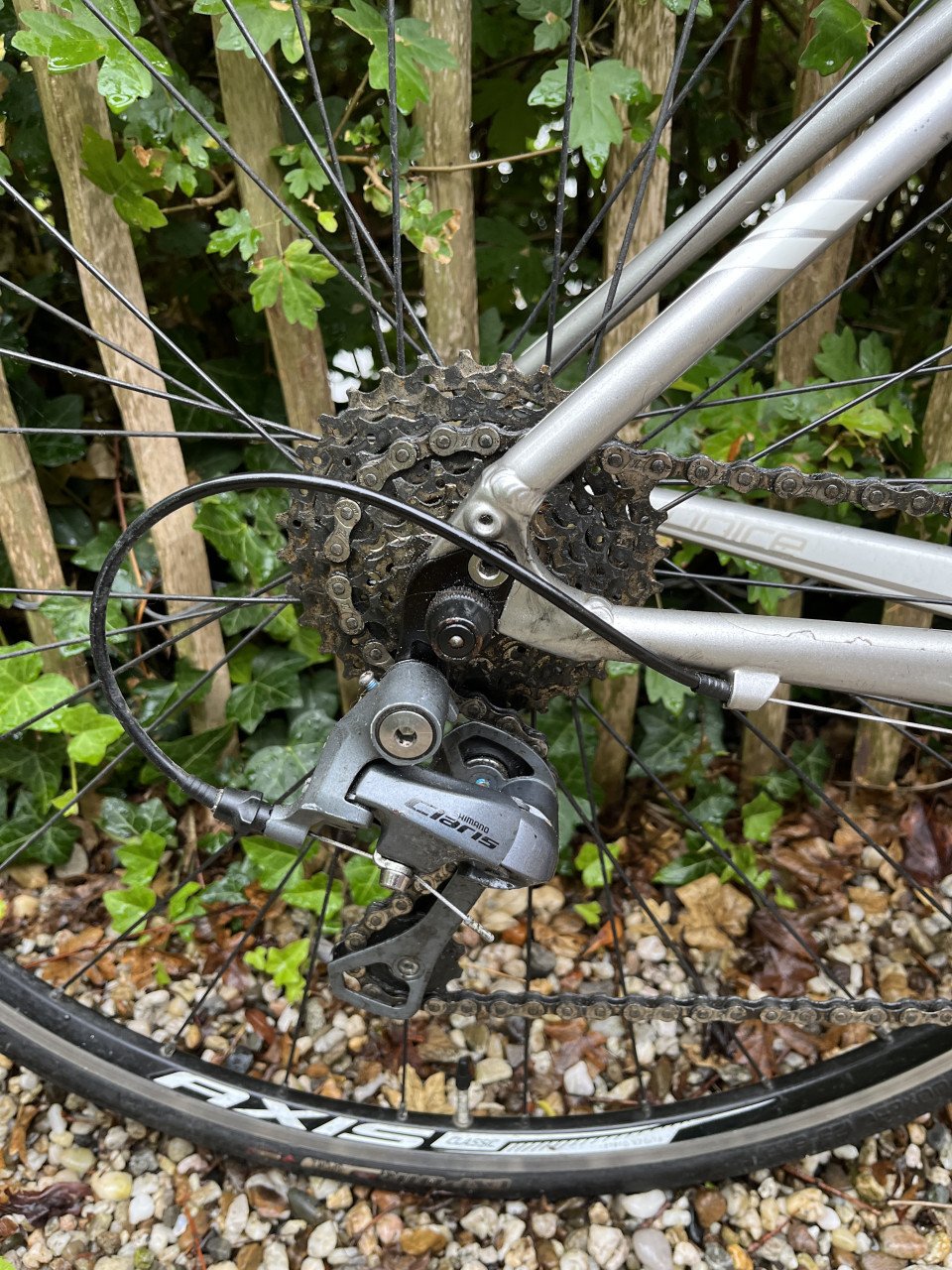 Racefiets Specialized Dolce