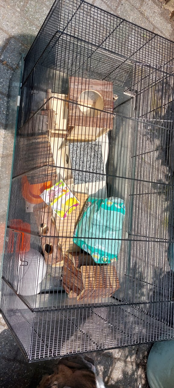 Hamsterkooi