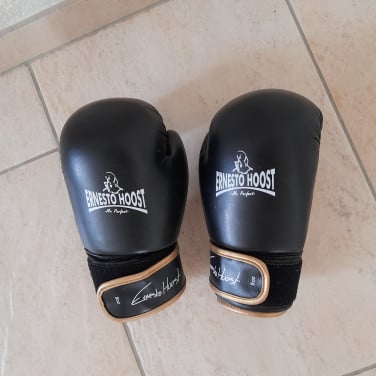 Ernesto Hoost Amateur Boxing Gloves (maat S)