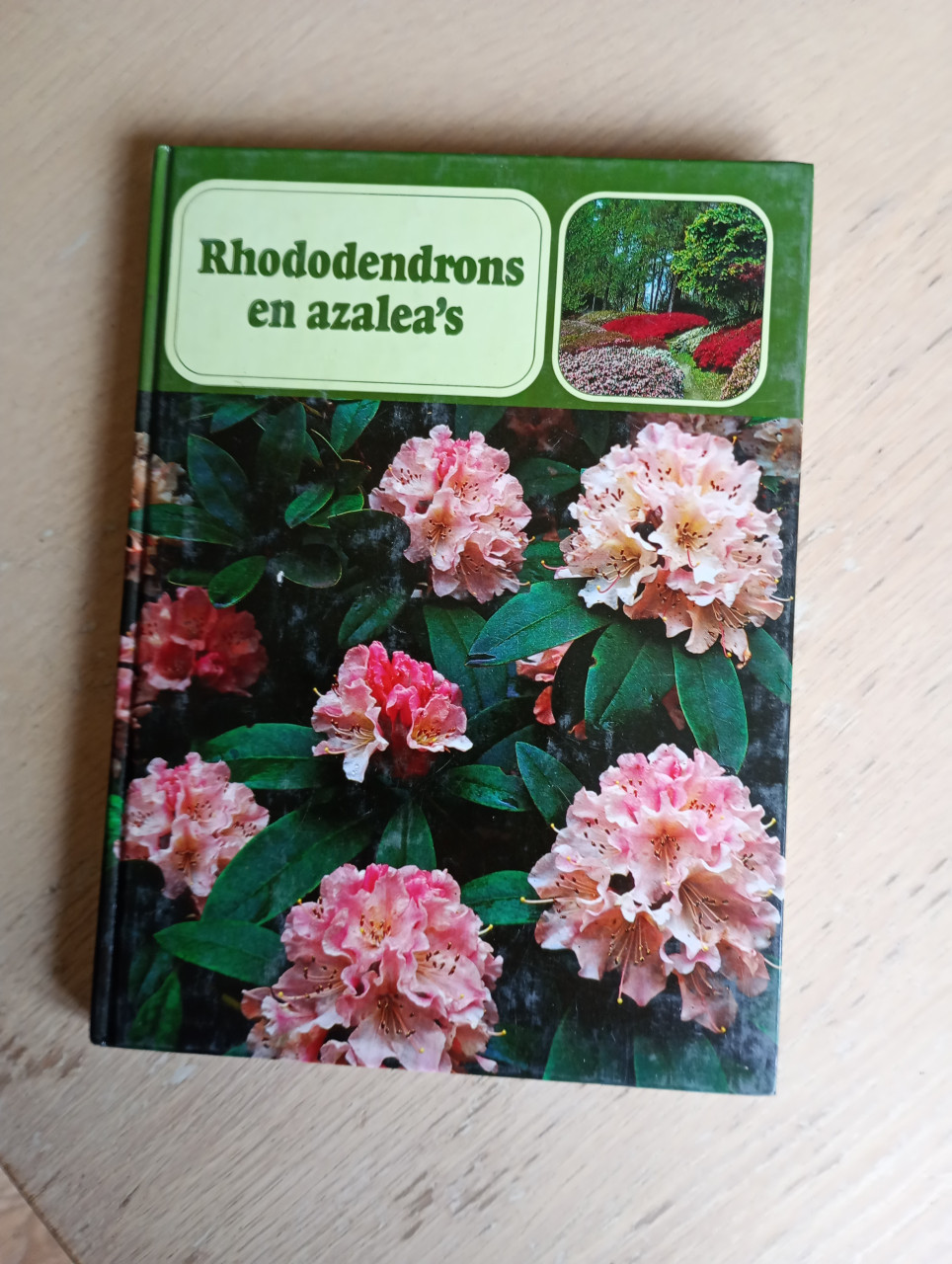 Rhododendrons en Azalea 's