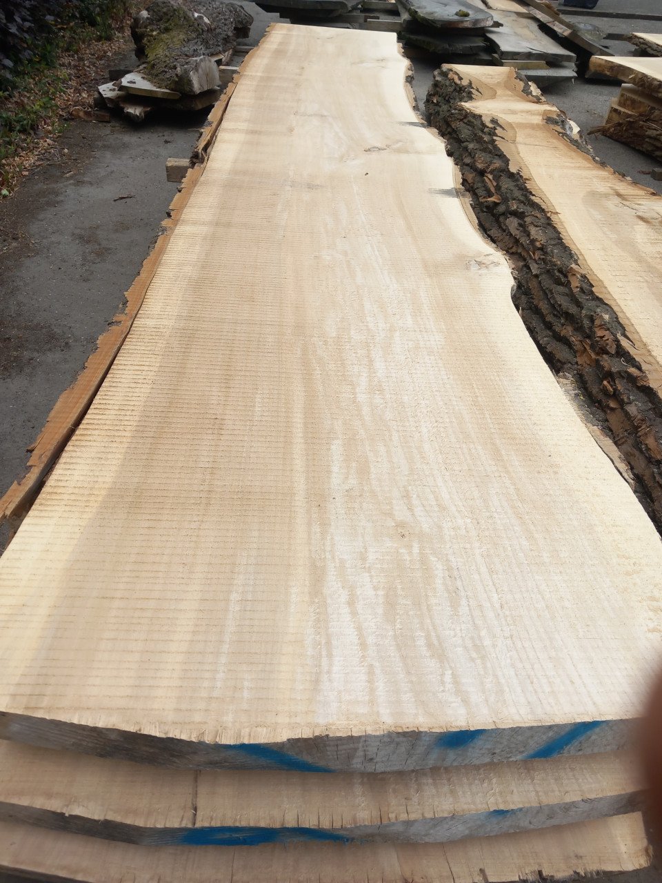 Boomstamtafels tafelbladen wandplanken salontafel bartafel in boomstamvorm