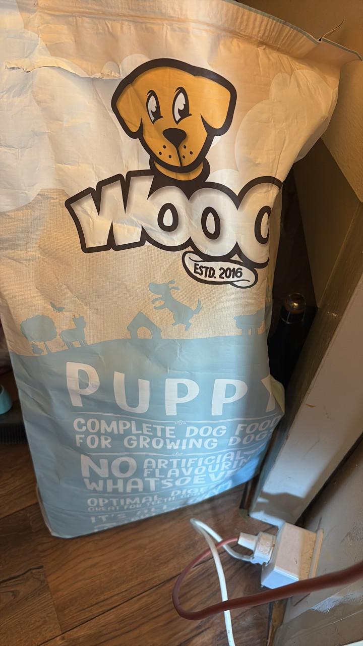 Baasje gezocht voor onze lieverd