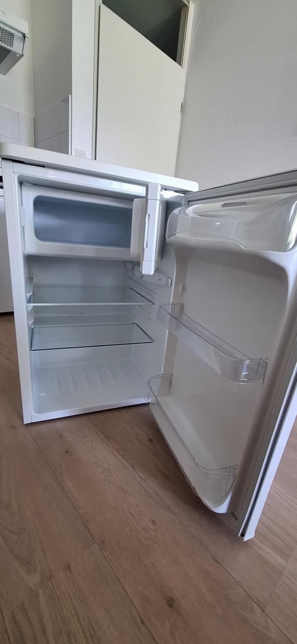Koelkast met vriesvakje