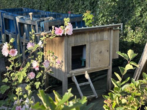 🐔 Kippenhok met zinken dak en legnest €95