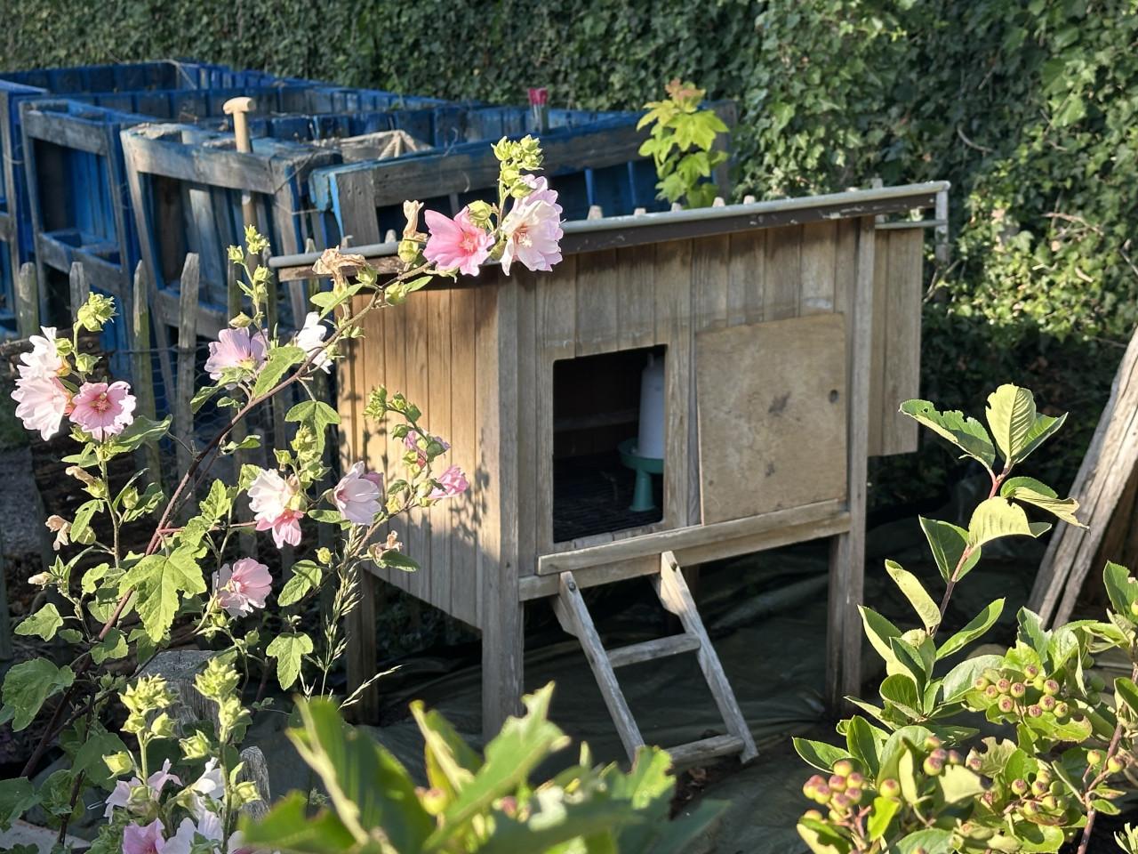 🐔 Kippenhok met zinken dak en legnest €95