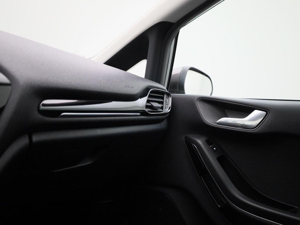 Ford Fiesta 1.0 ecoboost titanium | winterpack | stoel/stuur verwarming | l