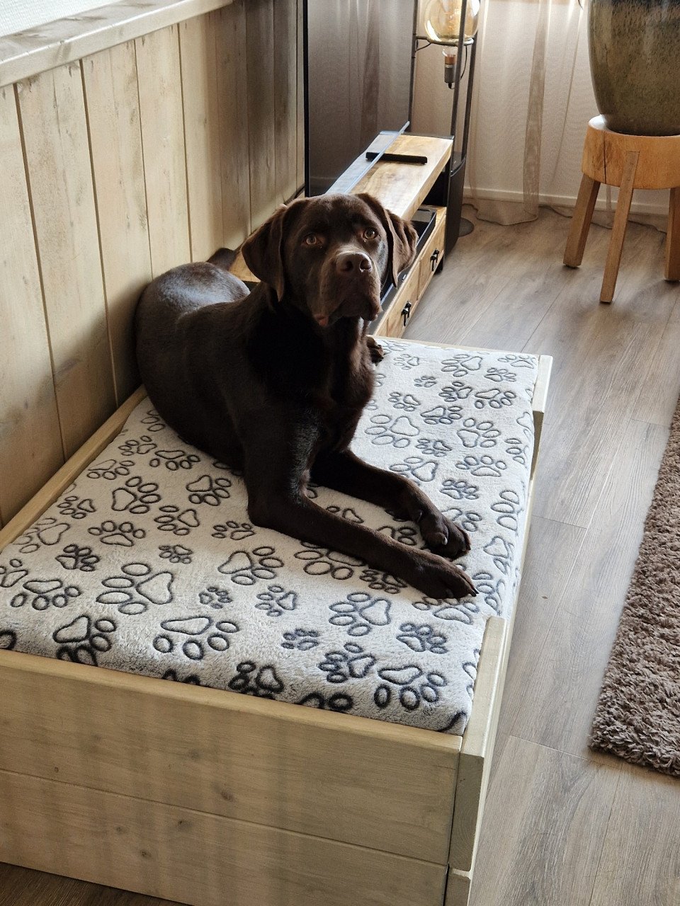 Stoere Hondenmand van Steigerhout + Kussen