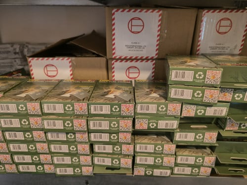 50x Firedragon branders met brandstof