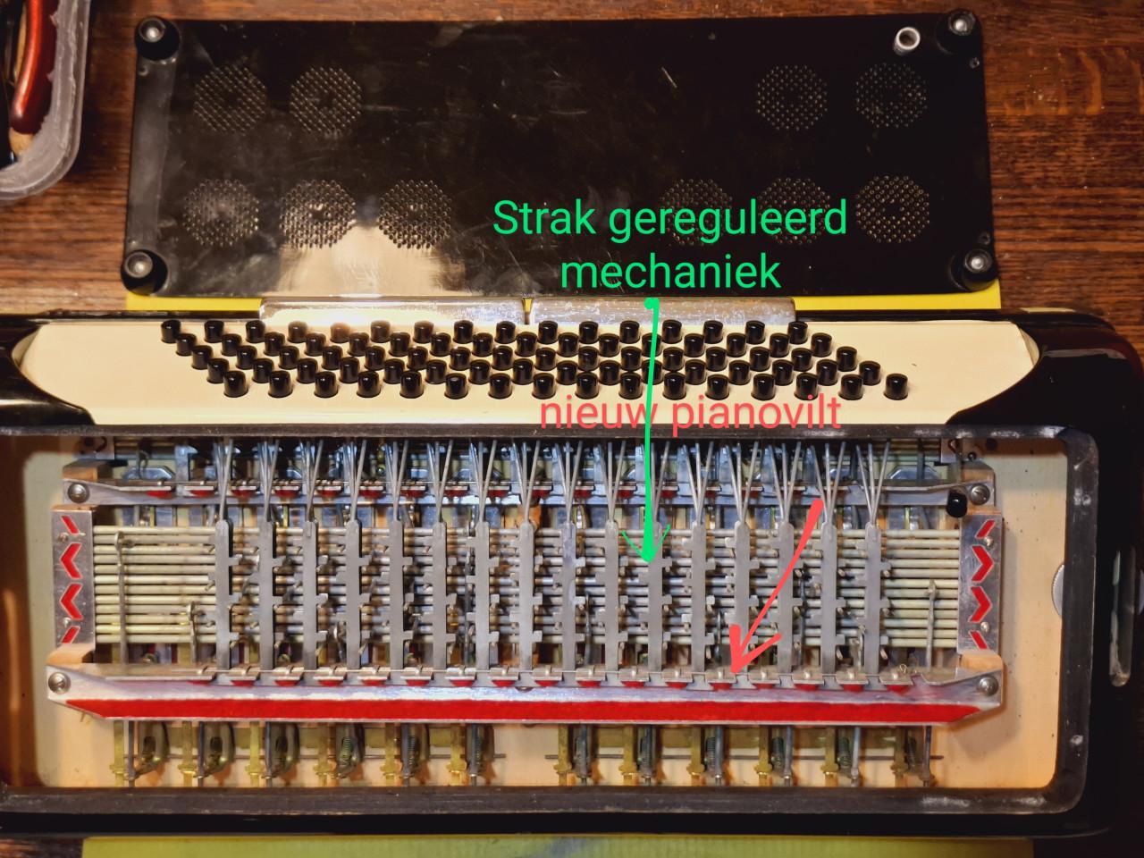 Accordion Accordiola Mignon 80 bas