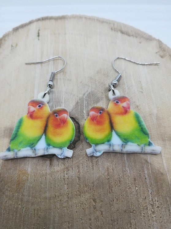 Acryl Oorhangers  NIEUW