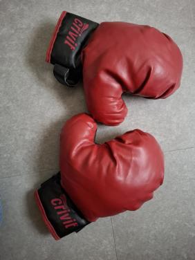 Bokshandschoenen kinder