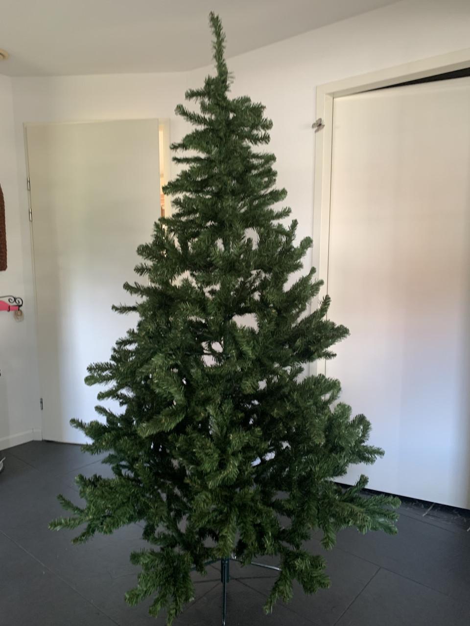 Kerstboom 2.15 m.  Intratuin