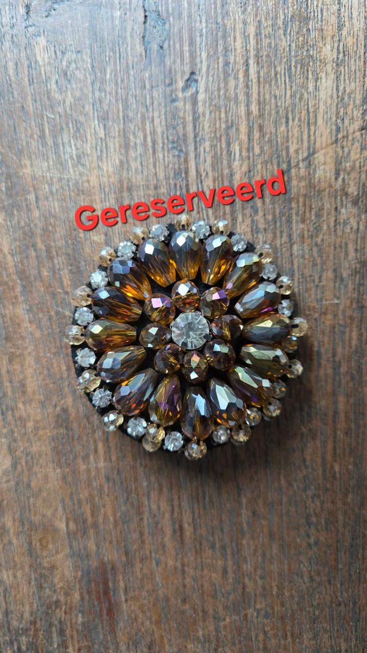 ✨️Prachtige Glanzende Broches met veiligheidssluiting.