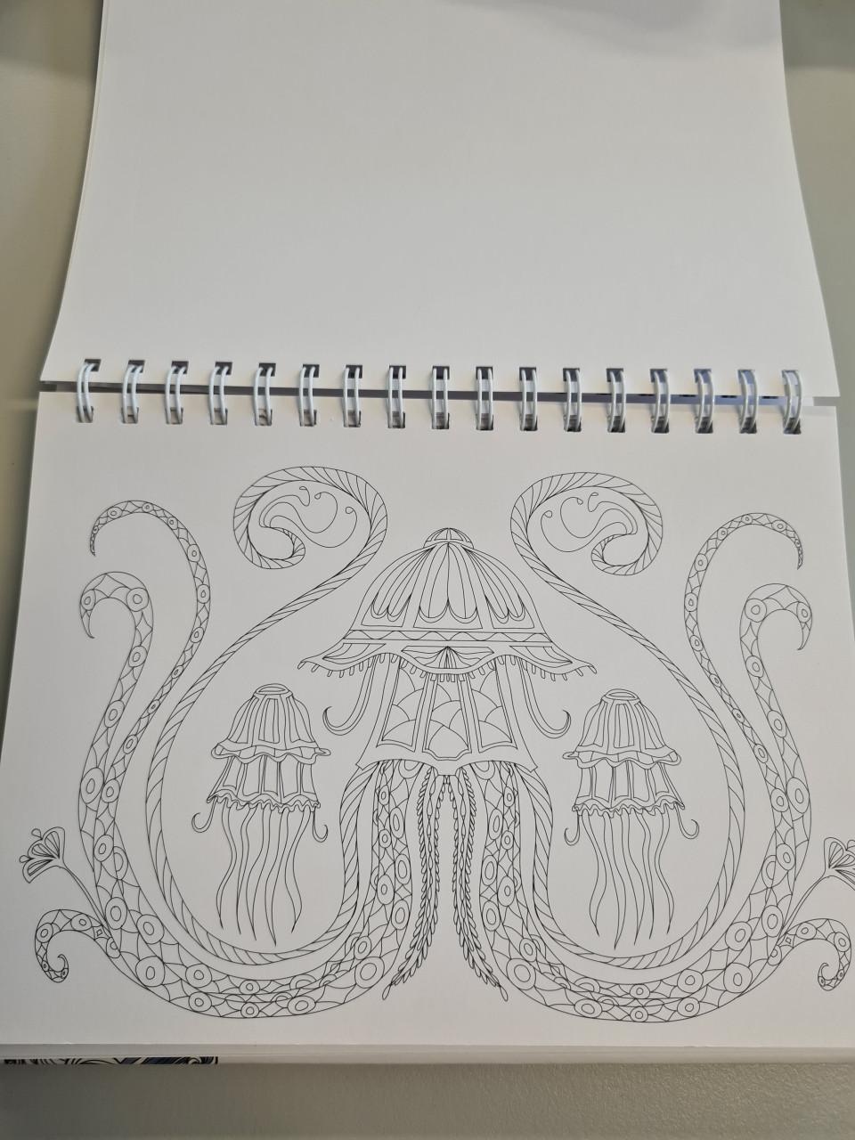 Tekenen ocean kleurplatenboek