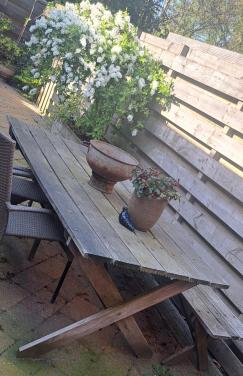Gratis tuintafel,2 stoelen en 1 ligbed