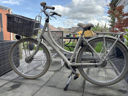 Vandaag ophalen, dames fiets