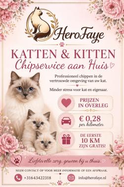Katten & kittens chippen