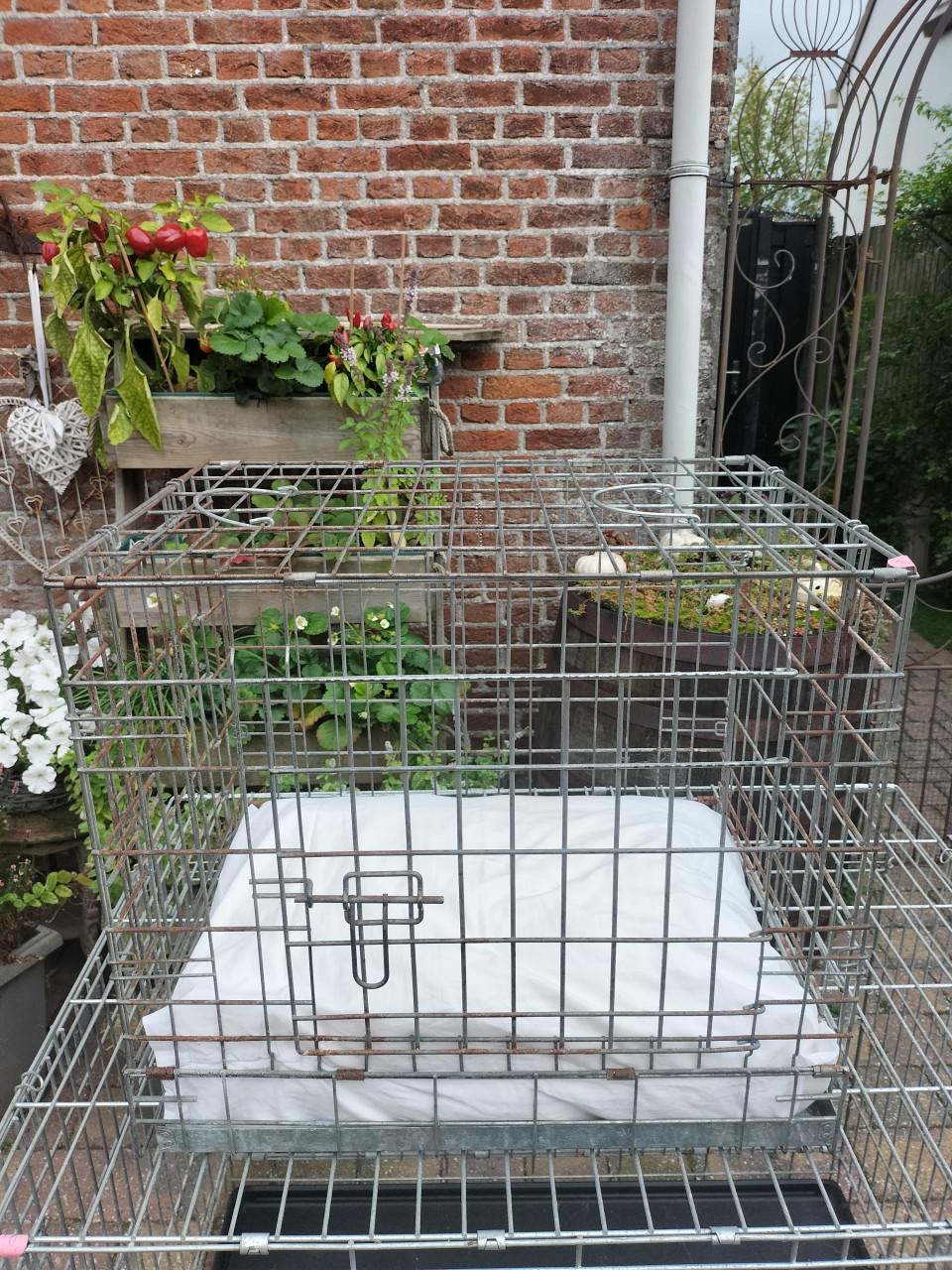 Gratis honden bench